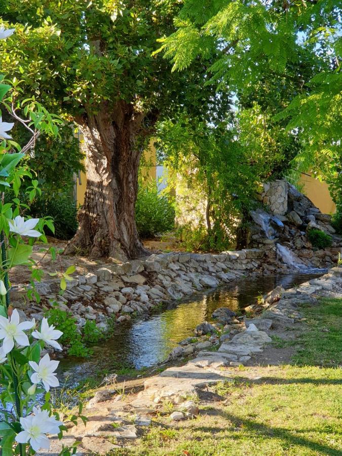 Quinta Lagus Resort - Casa De Campo 帕尔梅拉 外观 照片