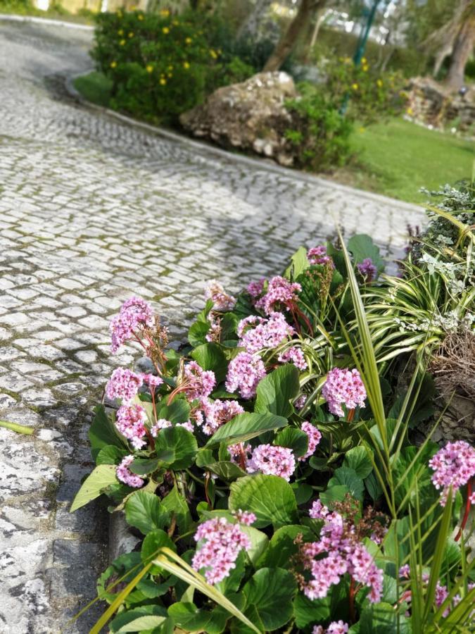 Quinta Lagus Resort - Casa De Campo 帕尔梅拉 外观 照片