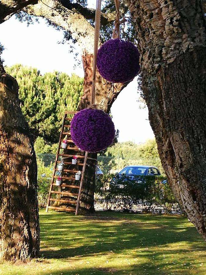 Quinta Lagus Resort - Casa De Campo 帕尔梅拉 外观 照片